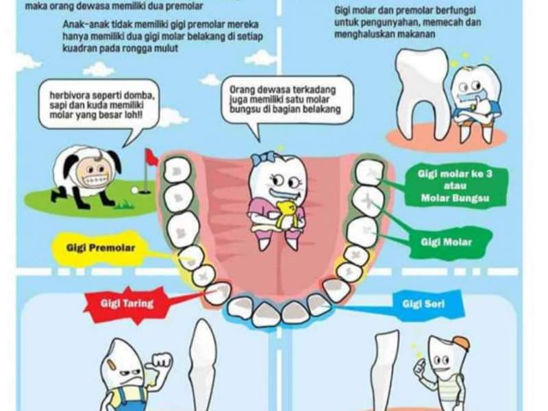 Menjaga Kesehatan Gigi 