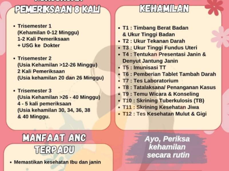 ANC ( Pelayanan Pemeriksaan Ibu Hamil )